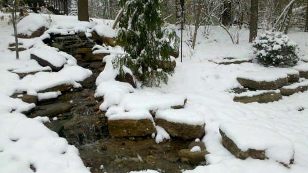 Pond questions in the Winter answered