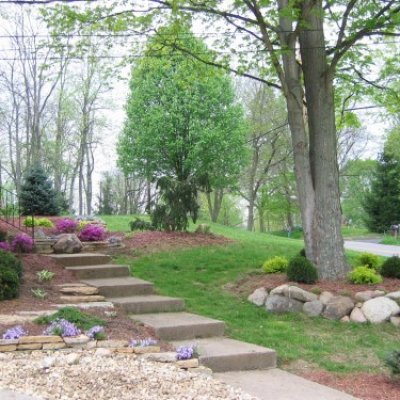 Landscape Design