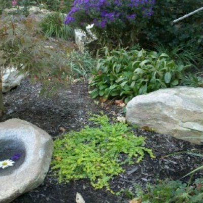 Granite Boulder Bird Bath