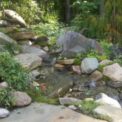 Pondless waterfall, stream with granite boulders and native flat rock.