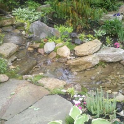 Pondless waterfall, stream with granite boulders and native flat rock.