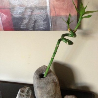 Handmade Rock Bamboo Vase