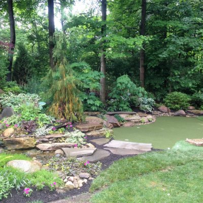 Custom Putting Green With Landscape Desgin and Water Feature