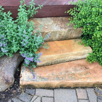 Sandstone Steps