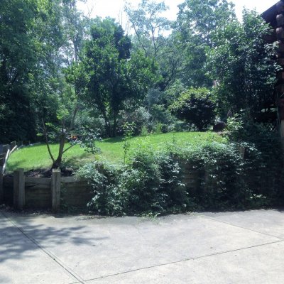 Before Custom Natrual Sandstone Retaining Wall